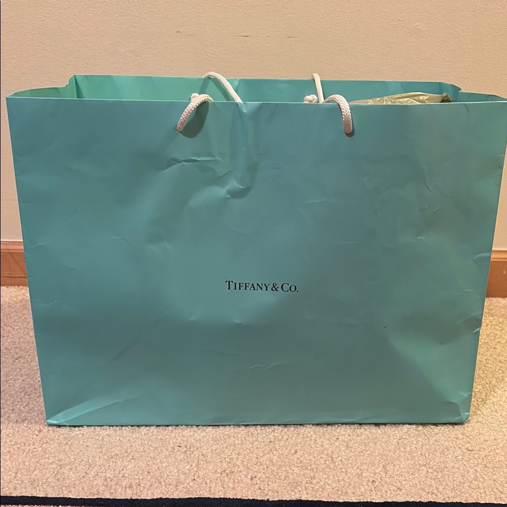 Tiffany & Co. Blue “as is “ Shopping Bag